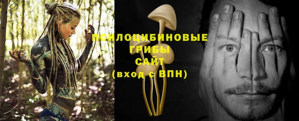 каннабис Гусиноозёрск