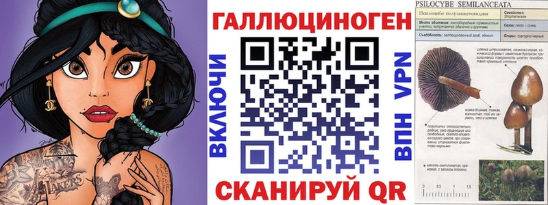 Купить где  Правдинск  Галлюциногенные грибы Psilocybine cubensis 